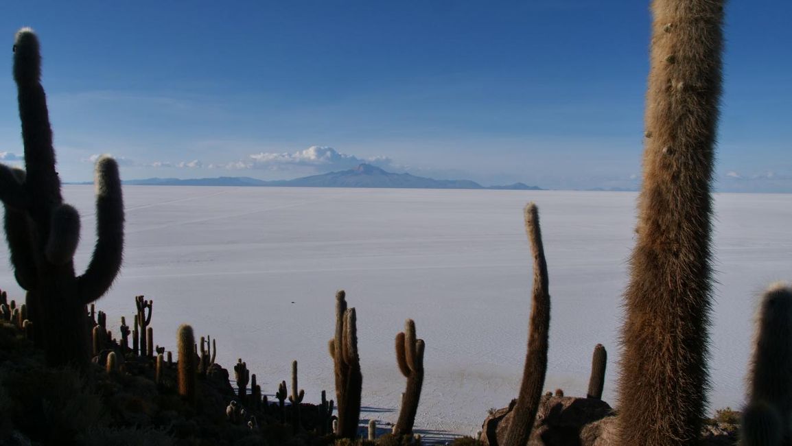 15/03/2023 bis 16/03/2023 - Uyuni & Salar de Uyuni / Bolivien