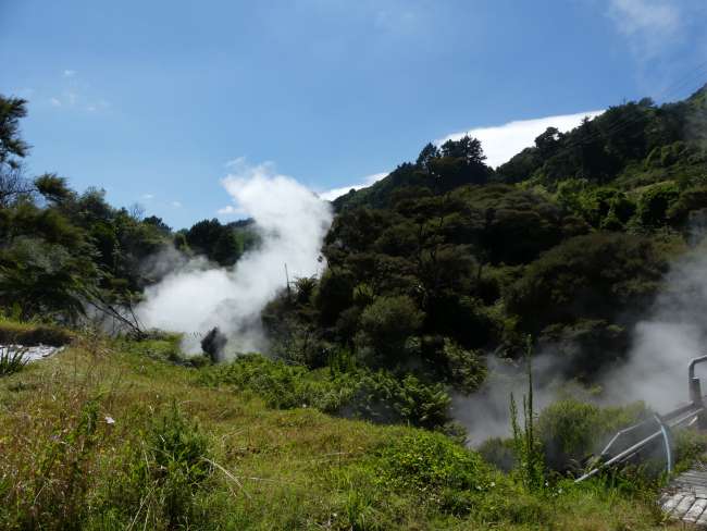 Steam rising above the small valley