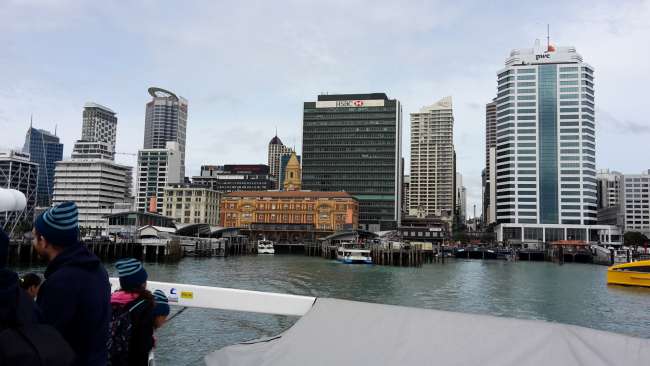 Auckland's harbor