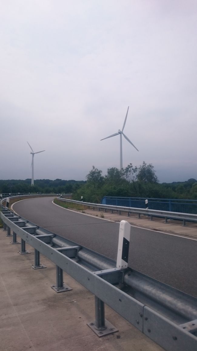 Wind turbines everywhere😏