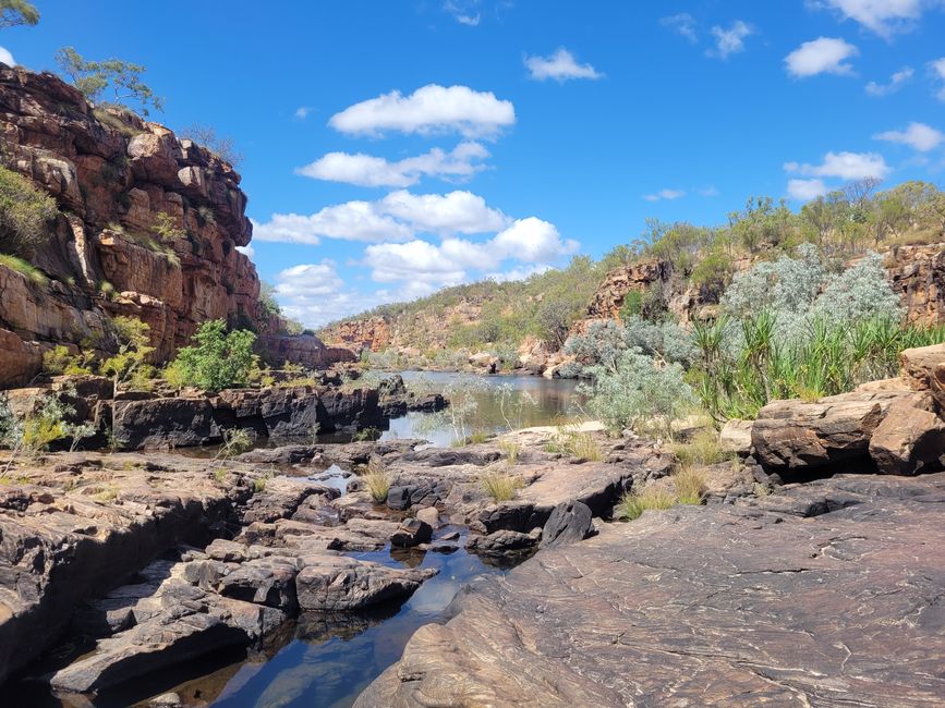 Manning Gorge campground Boab 