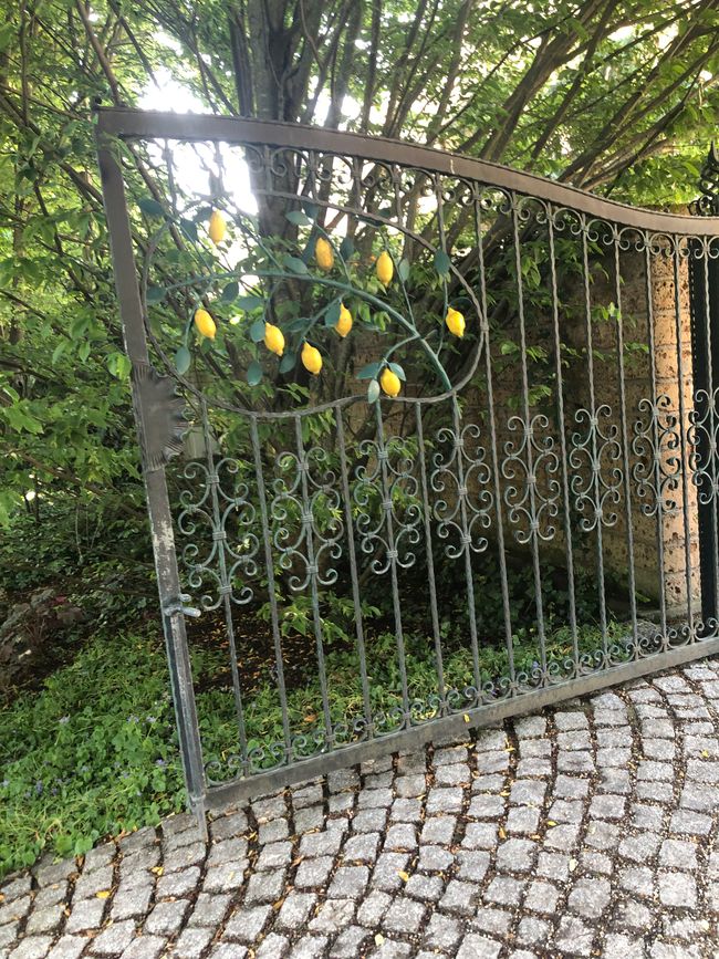 Entrance to the citrus garden