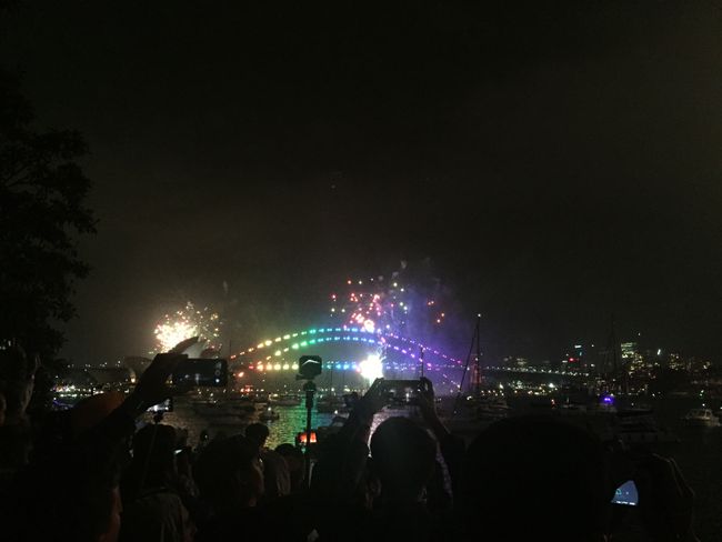 Chapter 4: Sydney, New Year's Eve, and Family Time