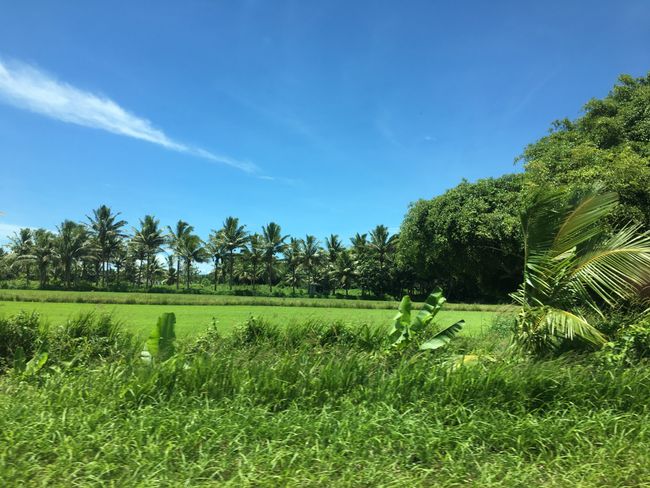From Suva to Denerau Island