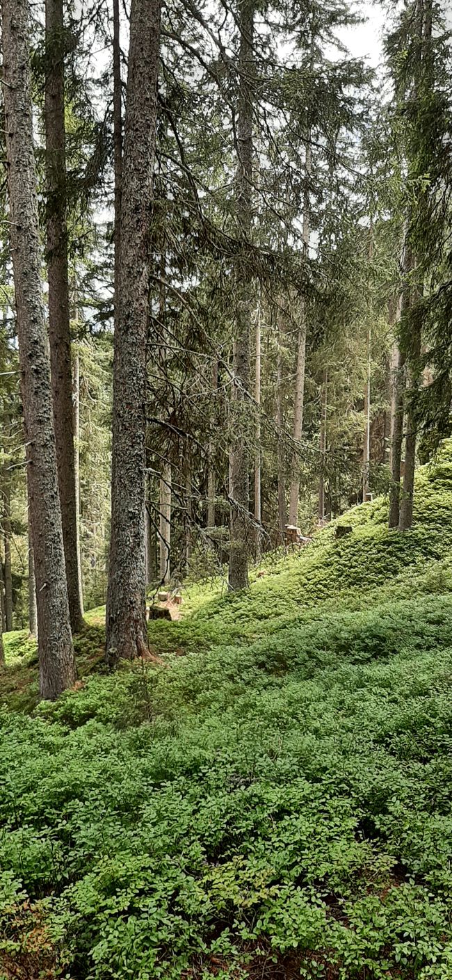 1,5 Routen heute