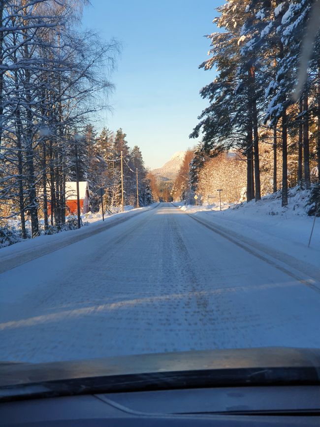 Trondheim Roadtrip