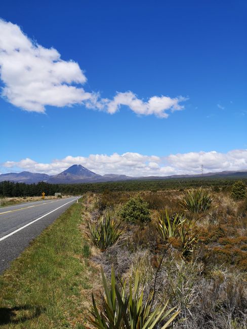 Mount Ngauruhoe (Mount Doom from LOTR), part of Tongariro