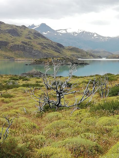 Torres del Paine - oder wie ich die Einsamkeit mancher Hüttenwanderung in den Alpen neu zu schätzen lernte