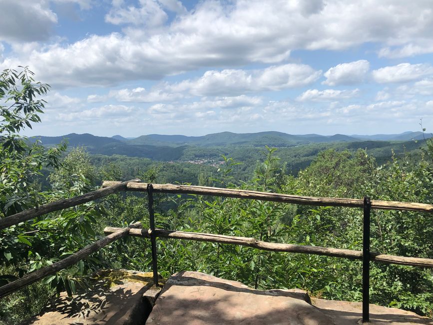 View over a part of the Palatinate Forest