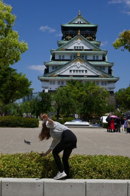 Posing in front of Osaka Castle... until you fly into the flower bed.