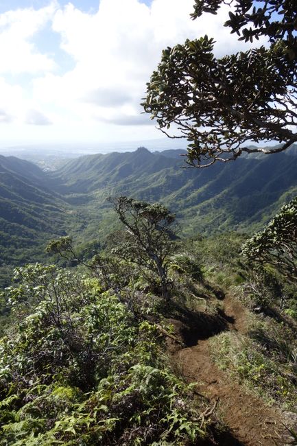 Vista desde el sendero Moanalua