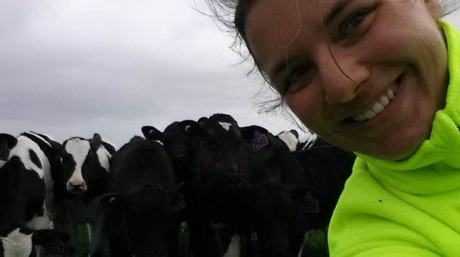 Group photo with the calves ;-)