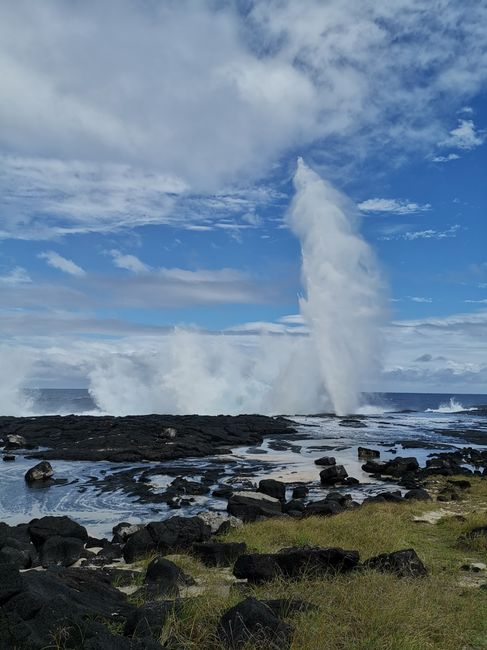 Spectacular: the Alofaaga Blowholes in southern Savaii shoot water up to 50m high with a loud noise! 