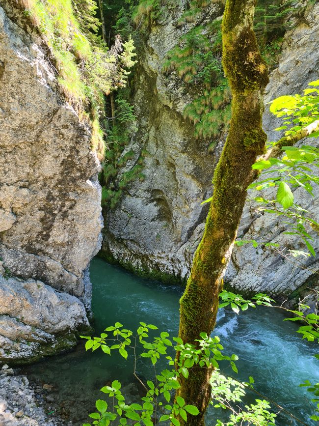 Breitachklamm