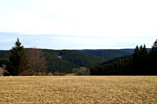 Spaziergang in Schonach