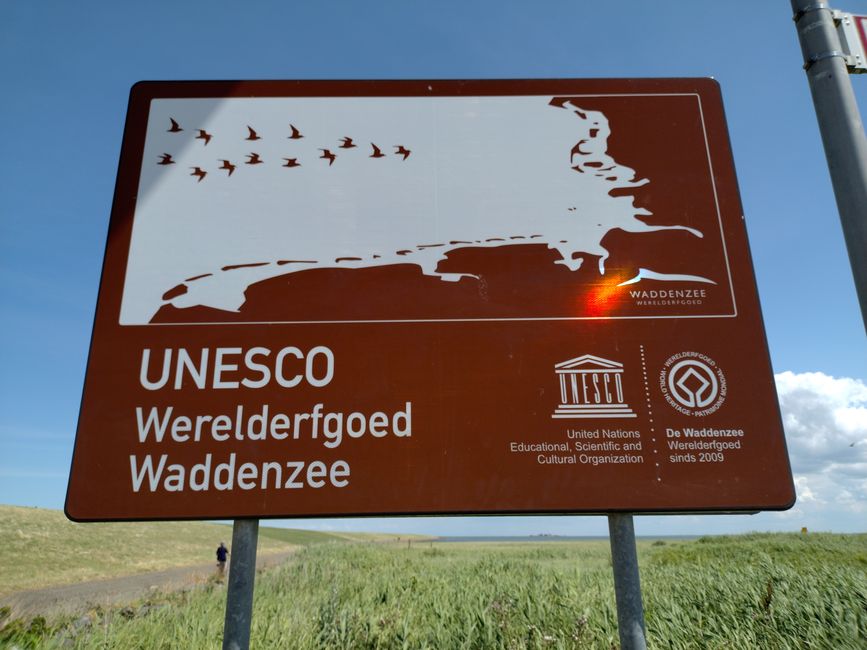 Dag 23: Schiermonnikoog (19 km)