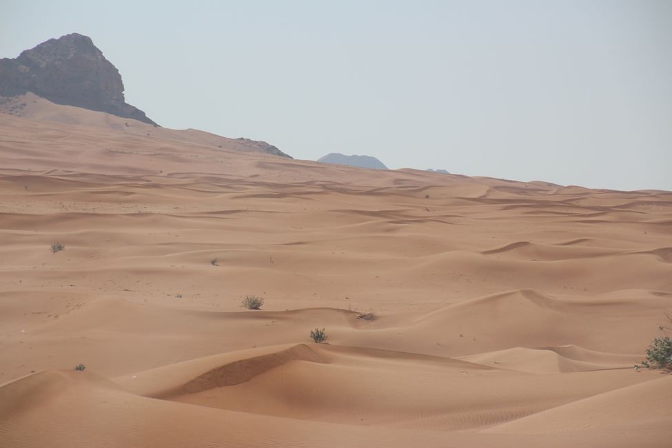 Through the desert