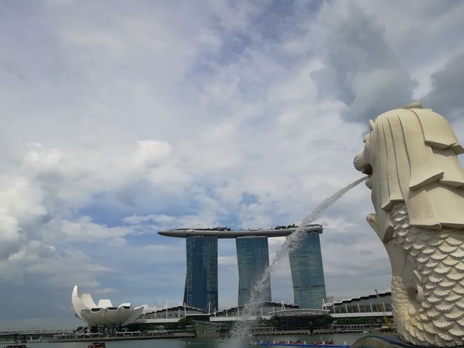 The Merlion:  a mythical creature with a lion's head and the body of a fish 