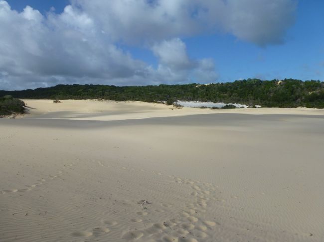 Fraser Island - Hammerstone Sandblow