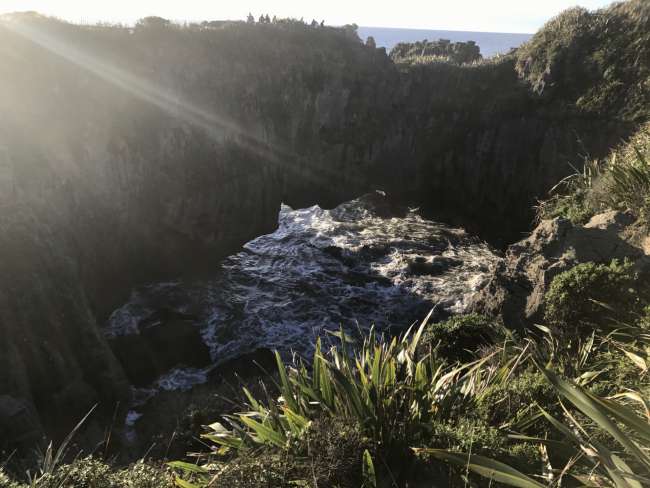 Unser Weg zur Sonne - Greymouth, Hokitika Gorge und die Pancake Rocks Blowholes
