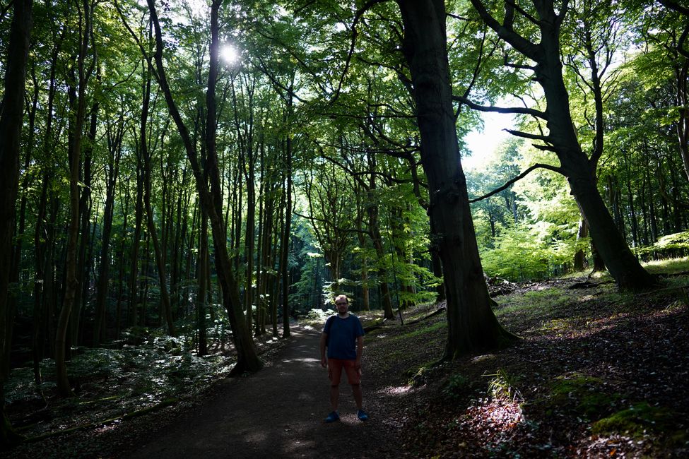Jörg im Wald