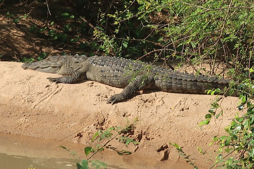 Yala National Park - Sri Lanka