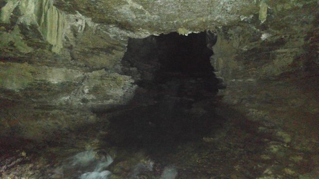 Junee Caves