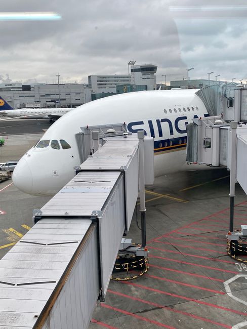 Angekommen in Frankfurt im A380 der Singapore Airlines.  