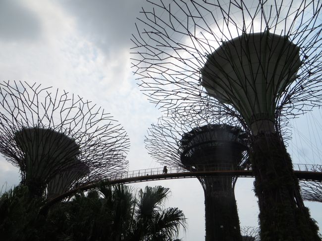 Spontane besoek aan Singapoer
