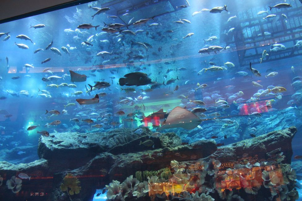 Tag 3 (2014) Dubai: Atlantis, Aquaventure, Burj Khalifa & Dubai Mall