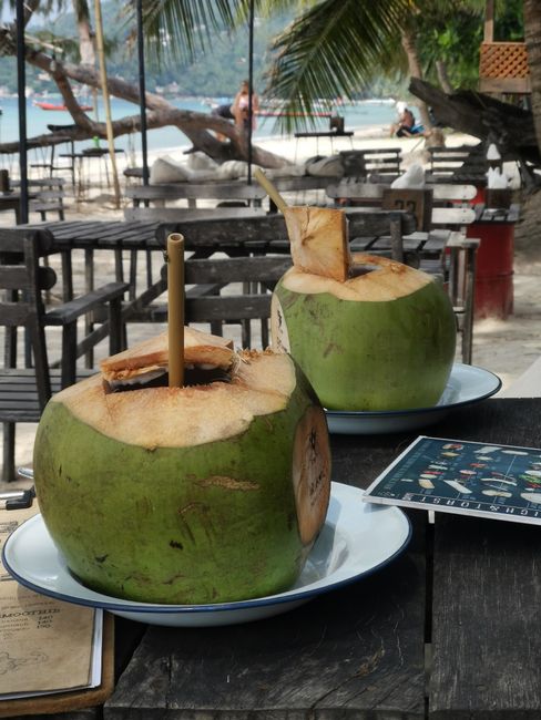 Die letzte Kokosnuss am Strand. 