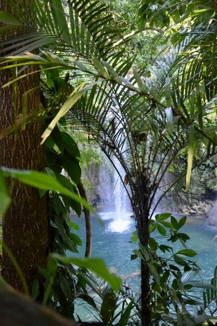 'Stressful' travel life & the most beautiful waterfalls.