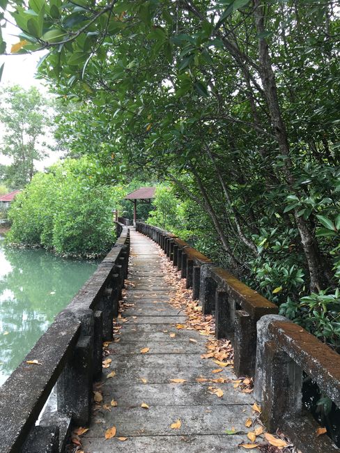 Tour dell'isola a Ko Chang