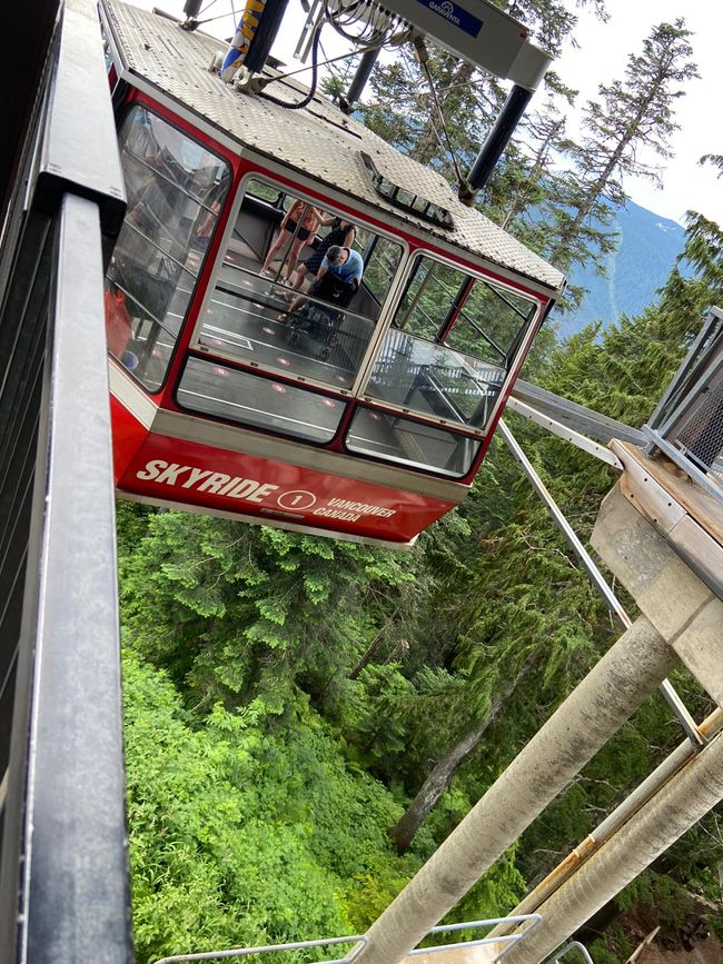 The gondola down