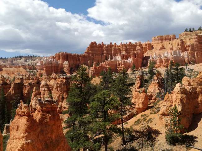Zion & Bryce Canyon National Park