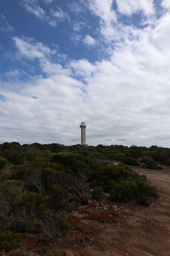 Cape Donnington Lighthouse