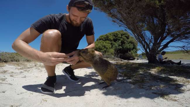 #14 - Perth & Rottnest Island (29.12.16 - 01.02.17)