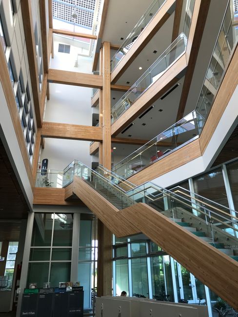 Struttura in legno nel CIRS Building