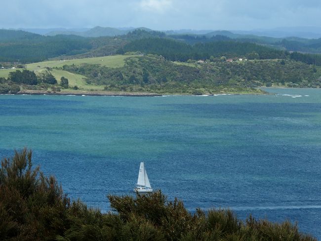 Day 12 - From the Bay of Islands to Raglan to Hamilton