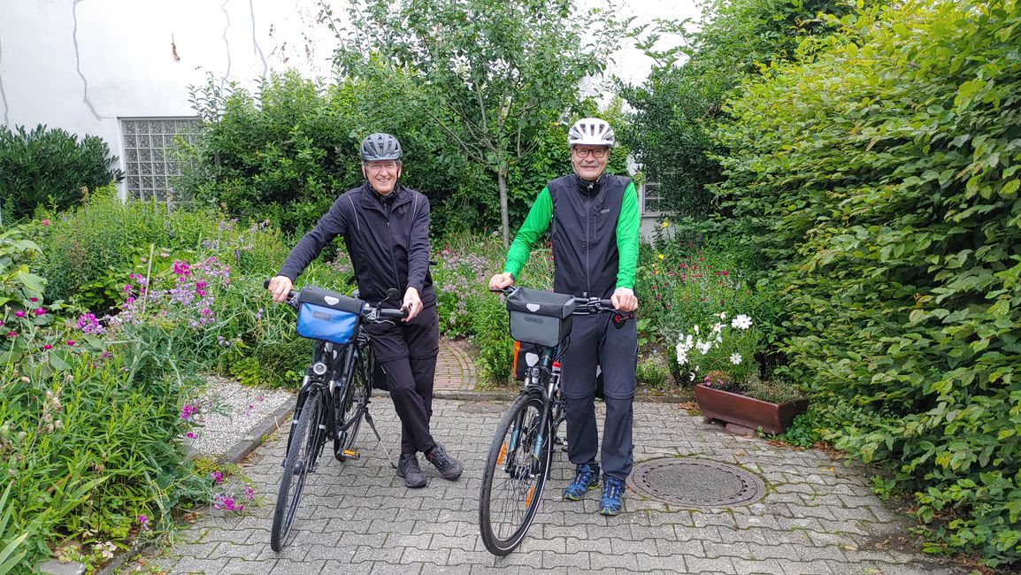 pedalomania