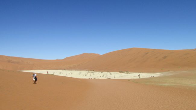 Dead Vlei