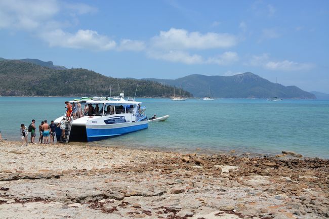Das Tour-Boot legt auf Whitsunday Island an