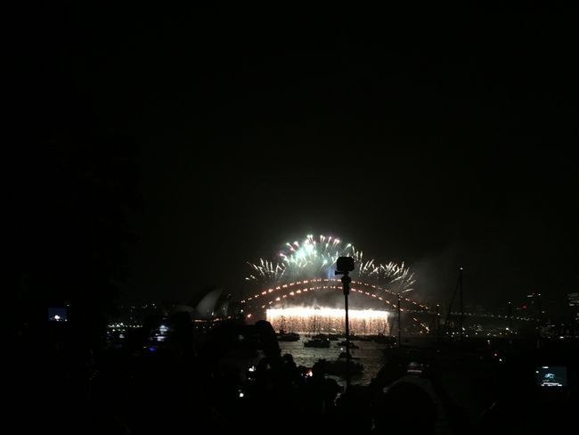 Chapter 4: Sydney, New Year's Eve, and Family Time