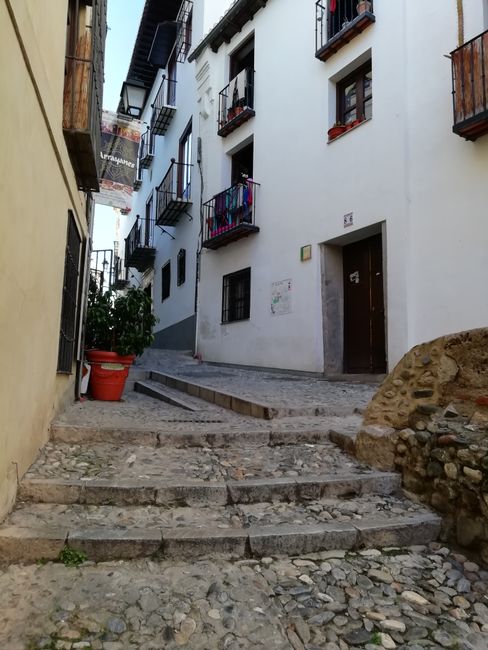 Granada 2019