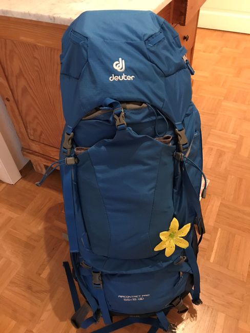Mein Rucksack/ My backpack