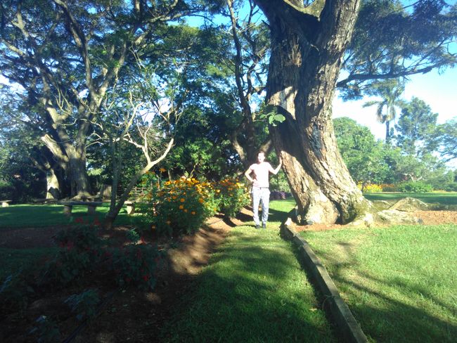 Lisa im schönen und so friedlichen Garten des Bahais, mitten im lauten und hektischen Kampala