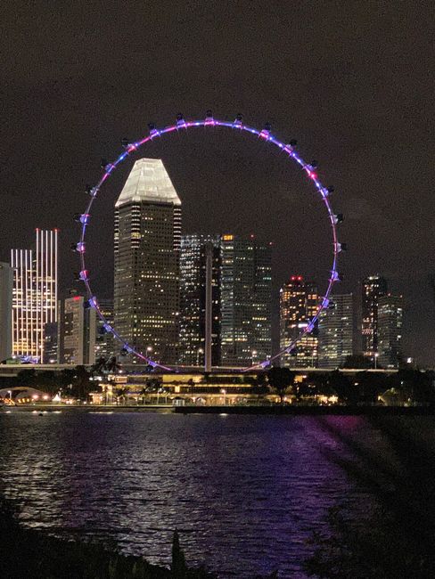 Das Riesenrad von Singapur 