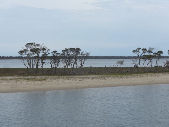 Gippsland Lakes (Australien Teil 24)