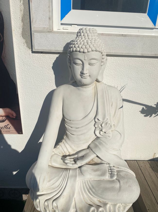 🧘🏾♀️ 🏝 🌊 ☀️