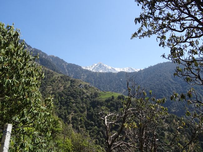 Indian Himalaja
